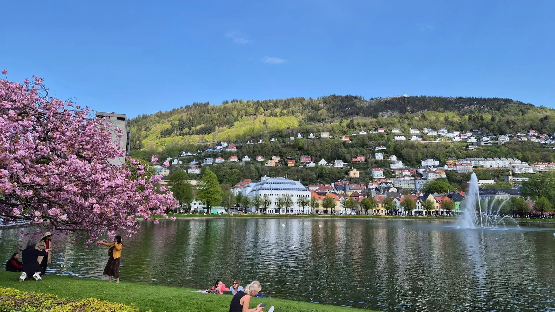 Apartamento Nydelig Hus Med Privat Hage Og Fantastisk Utsikt Over Fisketorget, Bryggen Og Bergen Sentrum